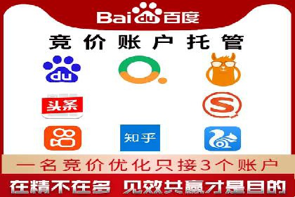 某品牌通过SEM竞价代运营公司实现品牌飞跃的历程